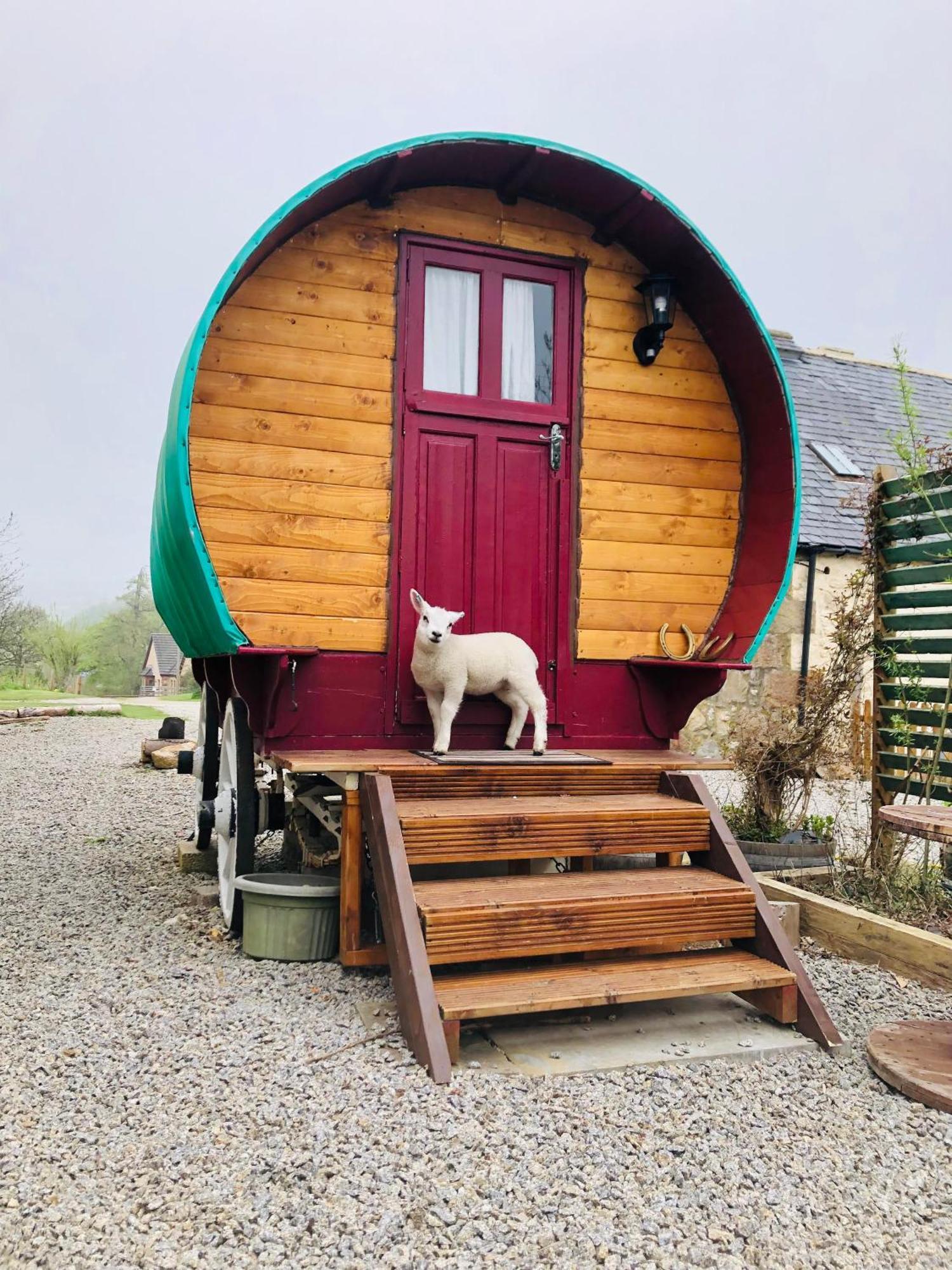 Bowtop Wagon At Lettoch Farm Keith Εξωτερικό φωτογραφία